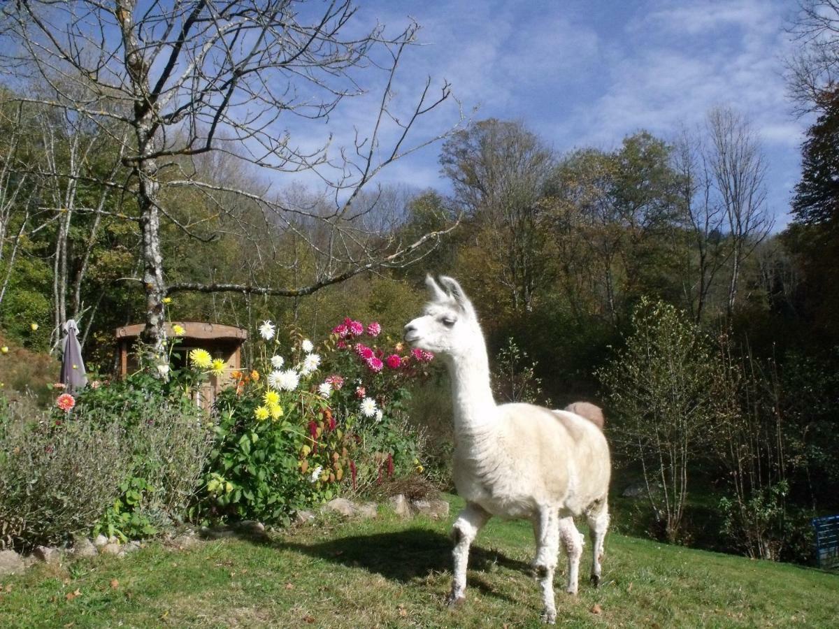 Le Domaine Du Chatelet Ferdrupt Exteriör bild